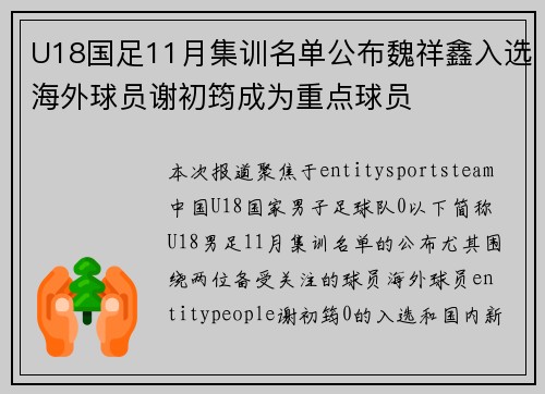 U18国足11月集训名单公布魏祥鑫入选海外球员谢初筠成为重点球员